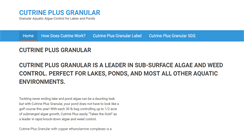Desktop Screenshot of cutrineplusgranular.com